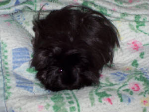 100_4503.jpg