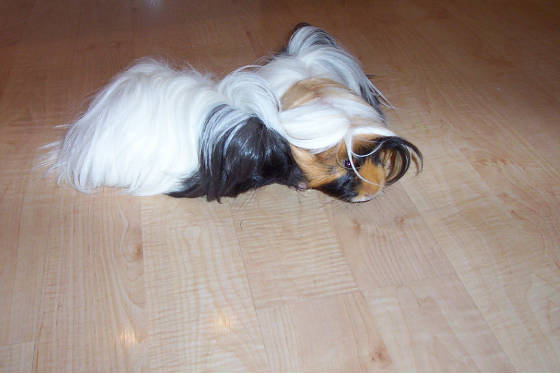 100_4803.jpg