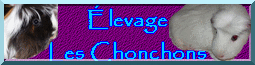 chonchons.gif
