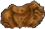 cochons.gif
