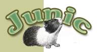 logo.jpg